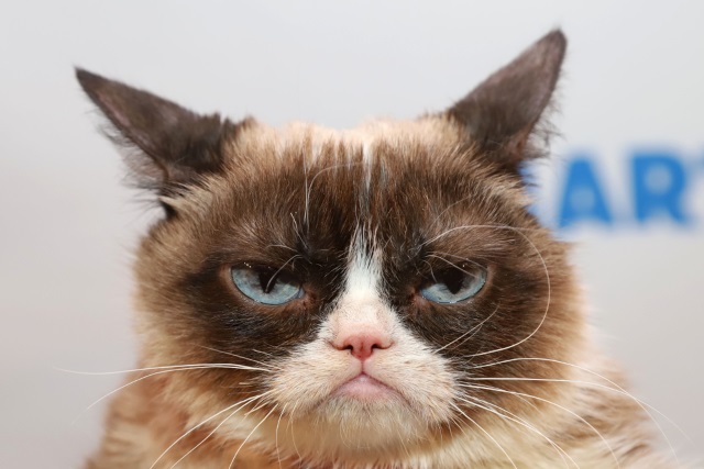 grumpy cat is dead but will live on though AI