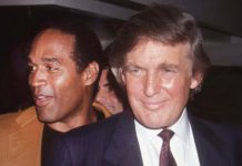 O.J. Simpson Is on Twitter Now! O.J Simpson and Donald Trump