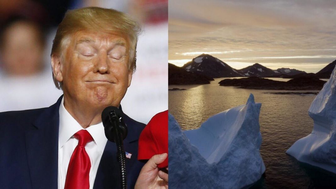 President Trump wants to buy Greenland, is it true?