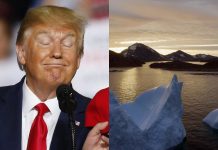 President Trump wants to buy Greenland, is it true? President Trump wants to buy Greenland, is it true?