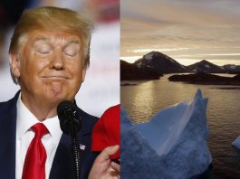 President Trump wants to buy Greenland, is it true?