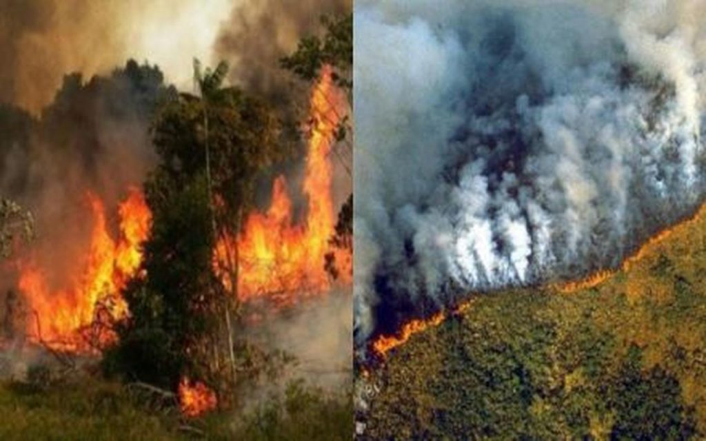 Break down of the Amazon rainforest fires
